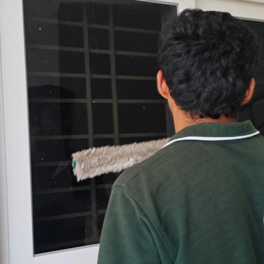 Window Cleaning Services